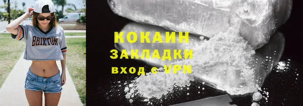 прущие грибы Наволоки