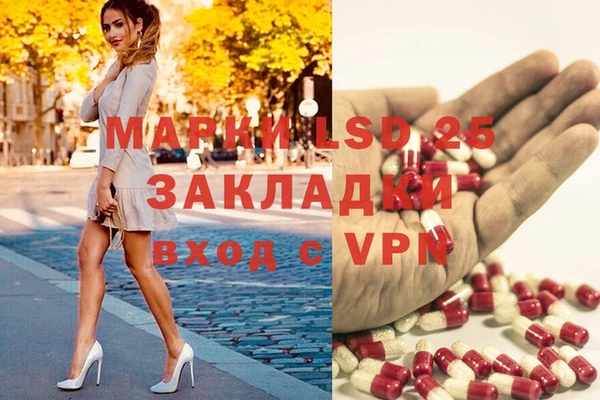 прущие грибы Наволоки