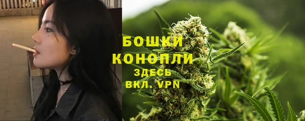 прущие грибы Наволоки