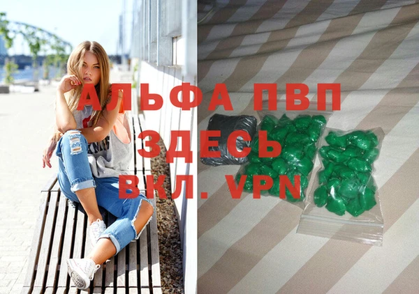 прущие грибы Наволоки