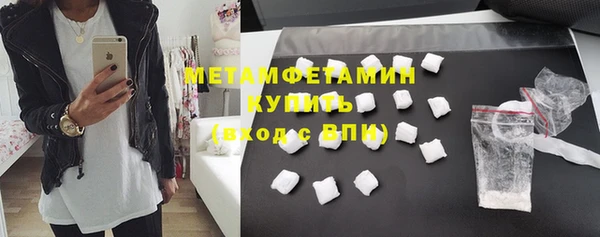 прущие грибы Наволоки