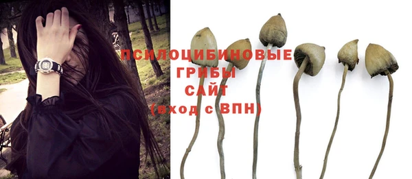 прущие грибы Наволоки