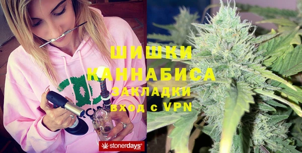 прущие грибы Наволоки