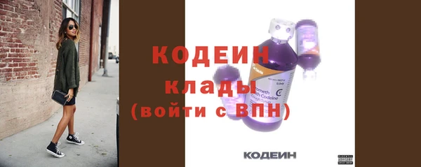 прущие грибы Наволоки