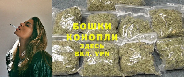 прущие грибы Наволоки