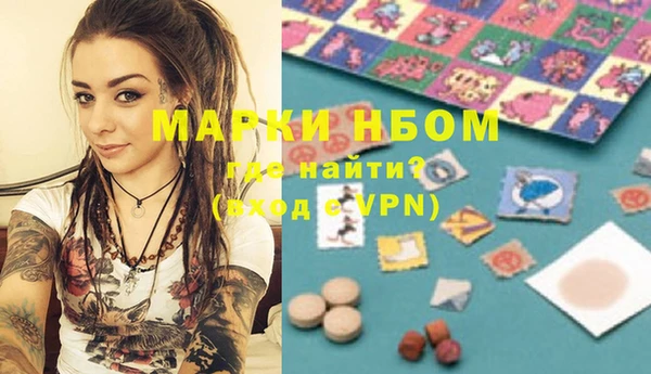 крисы Надым