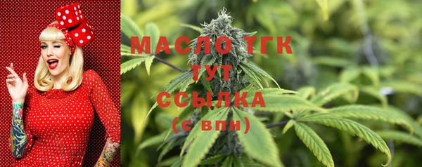крисы Надым