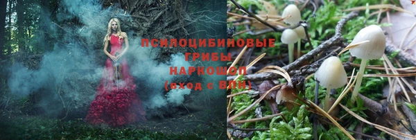 крисы Надым