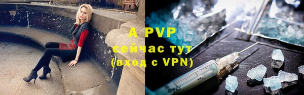 прущие грибы Наволоки