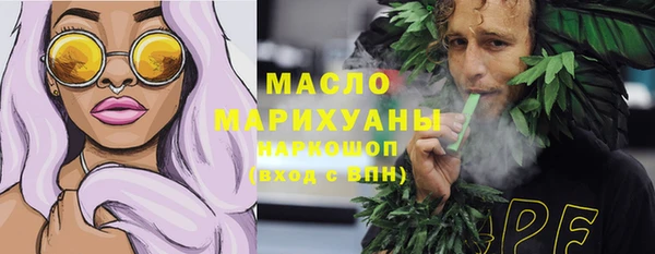 крисы Надым