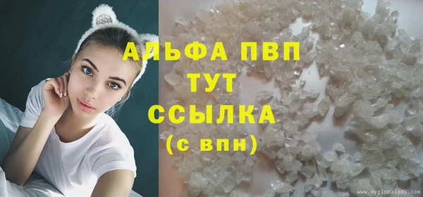 прущие грибы Наволоки