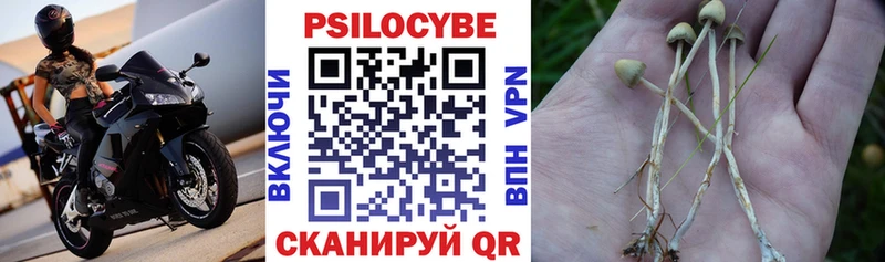Галлюциногенные грибы мицелий  как найти наркотики  Апрелевка 