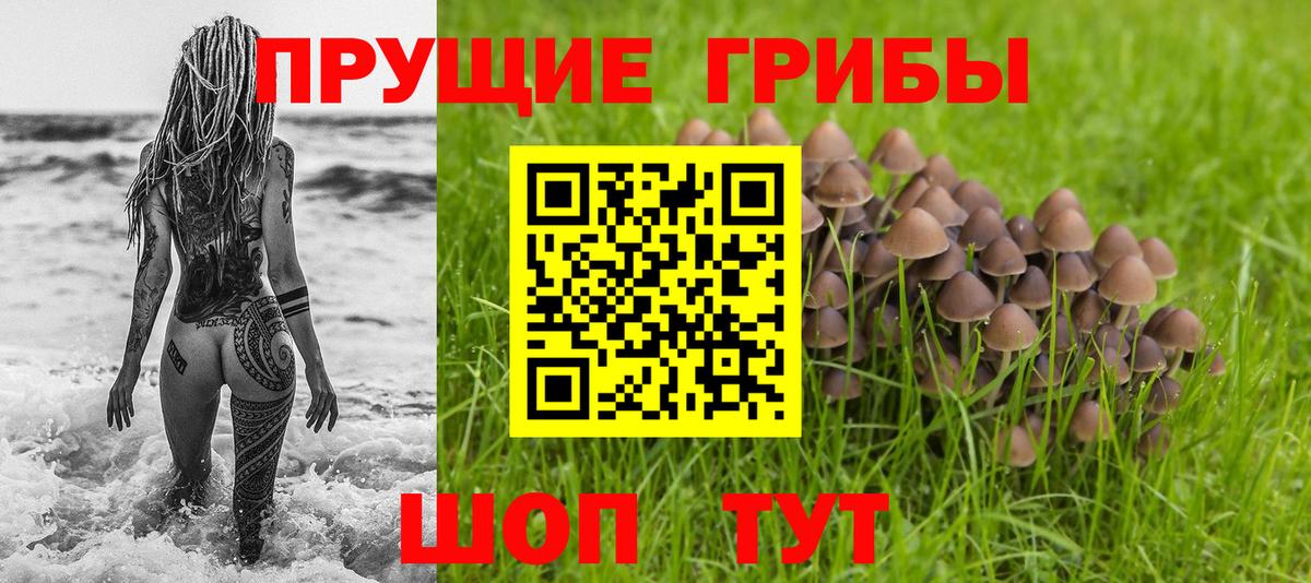 наркотики  Галлюциногенные грибы прущие грибы  Апрелевка  Галлюциногенные грибы Psilocybine cubensis 