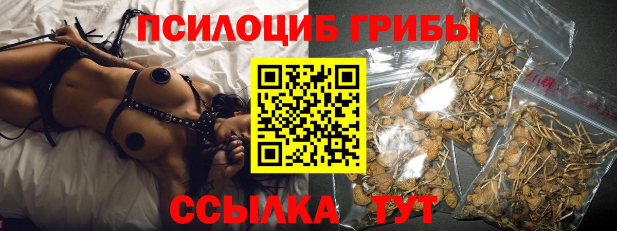 Галлюциногенные грибы мицелий  Вход с VPN  Галлюциногенные грибы прущие грибы  Апрелевка 